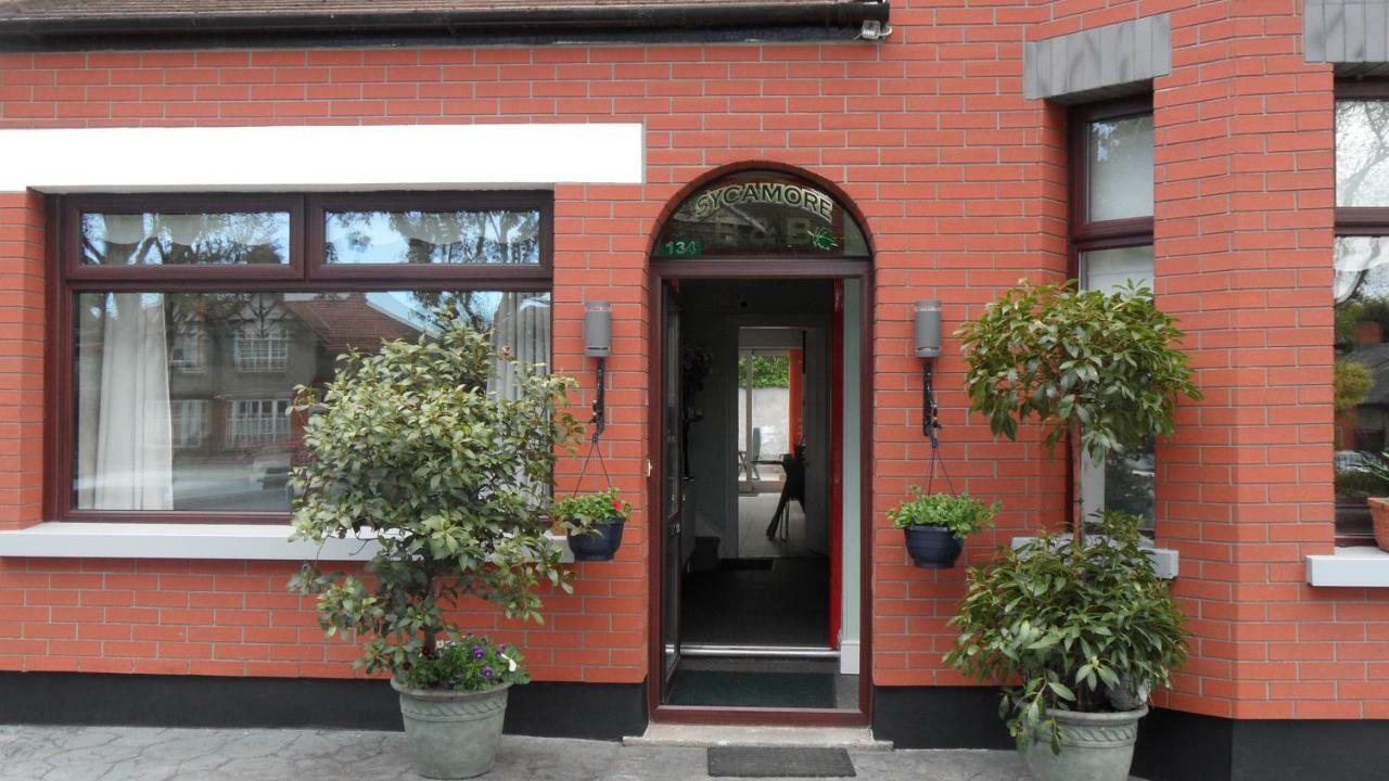 Sycamore House B&B Dublin Extérieur photo