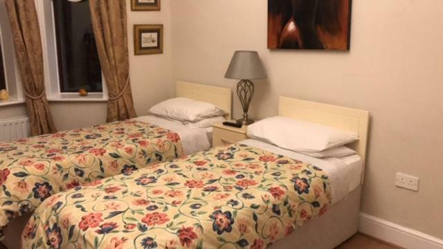 Sycamore House B&B Dublin Extérieur photo